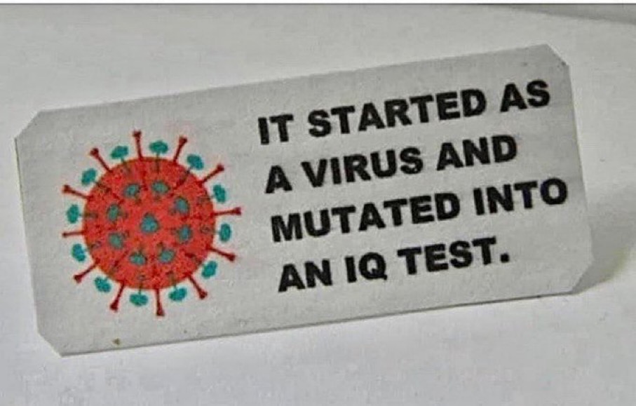 covid-started-as-a-virus-mutated-into-an-IQ-test