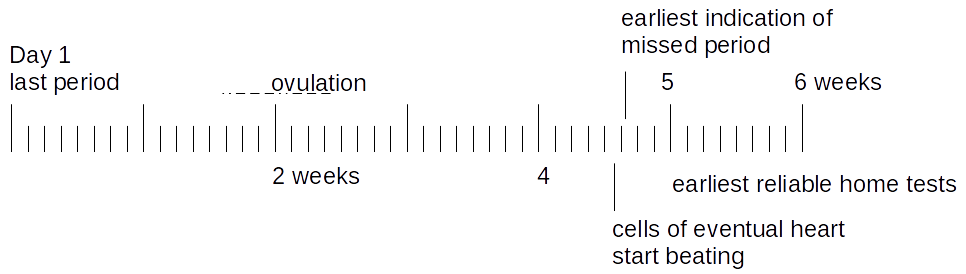 graphic representation of timings discussed in the post