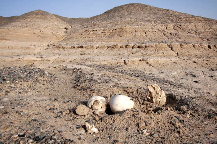 Parched hills of Yinpan. Soil erosion has uncovered a few skulls in the foreground.  Photo by Sean Gallagher.