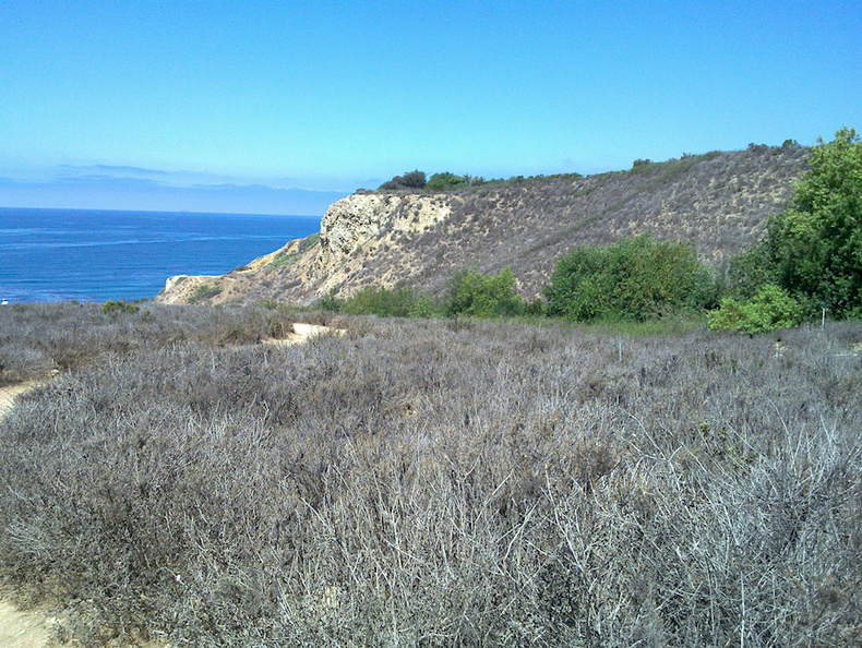 view-drought-dry-chaparral-Leo-Carrillo-20130805 003 1