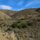 drought-and-after-Spring-Fire-before-it-rained-Ray-Miller-Trail-Pt-Mugu-2015-12-28-IMG 6441