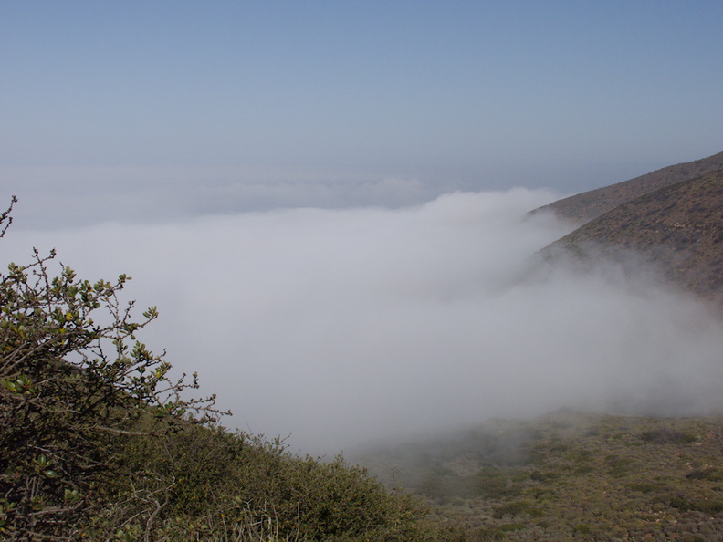 coastal-fog-at-Chumash-Trail-2013-04-27-IMG_0613.jpg