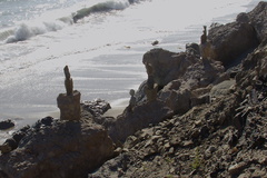 advanced-cairns-on-rocky-beach-near-La-Jolla-Cyn-Pt-Mugu-2013-05-18-IMG 0840