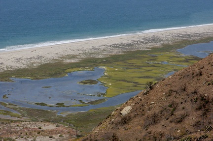 wetlands-behind-beach-Chumash-2014-06-16-IMG 4108