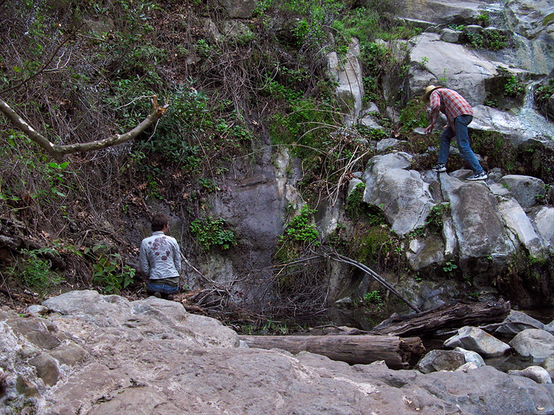 bryophyte-searching-mr-Satwiwa-waterfall-trail-Santa-Monica-Mts-2011-02-08-IMG 7049