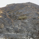 2013-05-04-Day3-Springs-Fire-burn-at-La-Jolla-Canyon-Pt-Mugu-IMG 0700