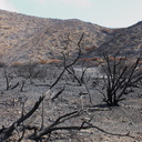 2013-05-09-strongly-burned-areas-Springs-Fire-Chumash-IMG 0736