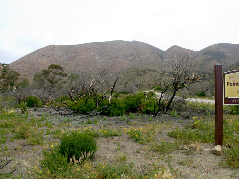 Pt-Mugu-trailhead-view-1yr-after-fire-2014-05-19-IMG 3625