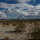 Pinto-Basin-view-Joshua-Tree-2011-11-13-IMG 3587