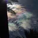 iridescent-clouds-at-Oasis-date-farm-2010-11-19-IMG 6546