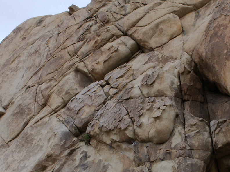 rock-formations-and-weathering-Barker-Dam-trail-Joshua-Tree-NP-2016-03-05-IMG_6542.jpg