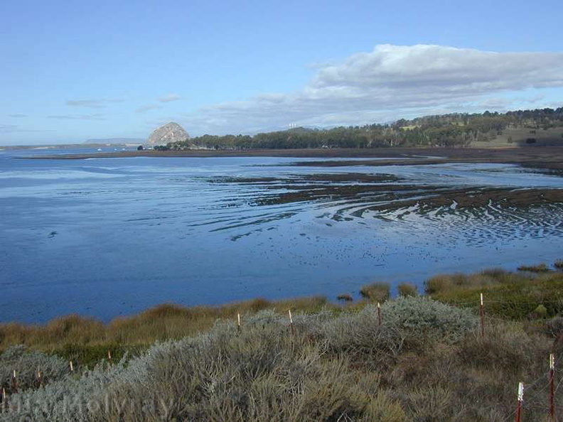 Morro-Bay-estuary-3-2000-11-22.jpg