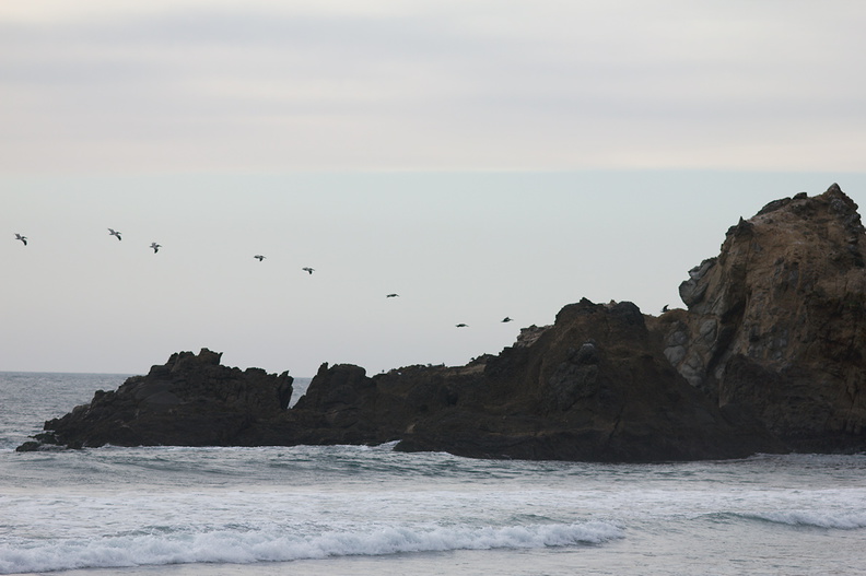 pelicans-flying-Pfeiffer-Beach-Big-Sur-2012-01-02-IMG_3853.jpg