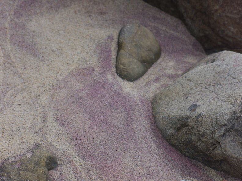 purple-sand-at-Pfeiffer-State-Beach-2013-03-02-IMG_0149.jpg