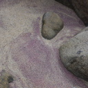 purple-sand-at-Pfeiffer-State-Beach-2013-03-02-IMG 0149