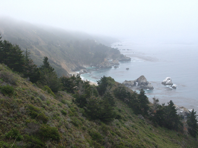 view-coast-fog-Hwy-1-hillside-2009-05-26-IMG_3038.jpg