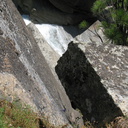 Brodiaea-jolonensis-streamside-Mist-Falls-trail-2008-07-21-img 0485