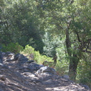 mule-deer-Bubbs-Creek-trail-Kings-CanyonNP-2012-07-08-IMG 6143