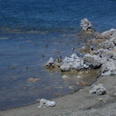 Mono Lake 2005-and-2007