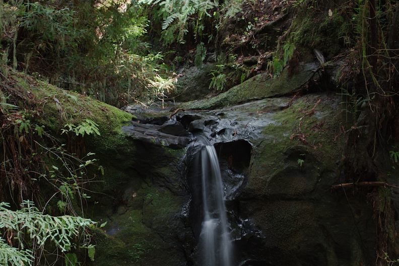 Sempervirens-Falls-Big-Basin-Redwoods-SP-SoBeFree19-2014-03-29-IMG_0010.jpg
