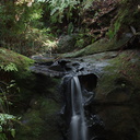 Sempervirens-Falls-Big-Basin-Redwoods-SP-SoBeFree19-2014-03-29-IMG 0010