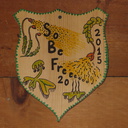 SoBeFree20-Bryo-Foray-shield-by-Susan-Tremblay-YMCA-Camp-Arbolado-San-Bernardino-NF-2015-03-30-IMG 4800