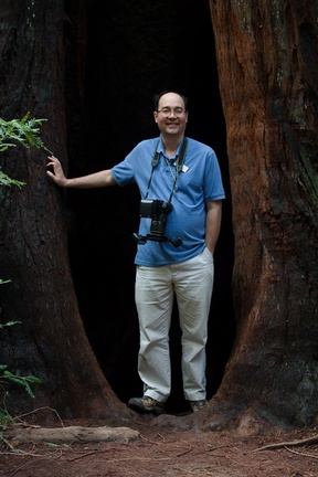 giant-redwood-with-Paul-Wilson-for-scale-Austin-Creek-SP-2016-03-19IMG 3013