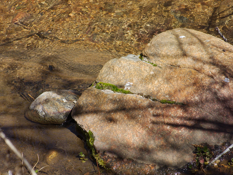 moss-in-stream-rock--creek-rte38-San-Bernardino-Natl-Forest-2015-03-28-IMG_4539.jpg