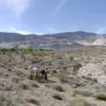 view-toward-San-Bernardino-National-Forest-rte18-Mojave-Desert-2015-03-29-IMG 4655