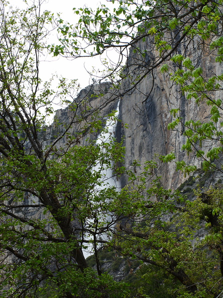 Yosemite-Falls-2010-05-24-IMG_5606.jpg