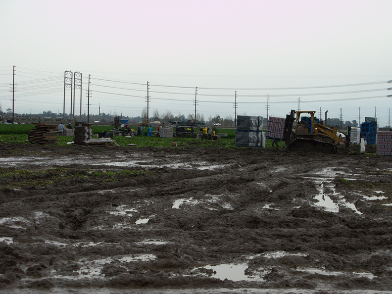 fields-of-mud-after-rain-2010-01-26-IMG_3667.jpg