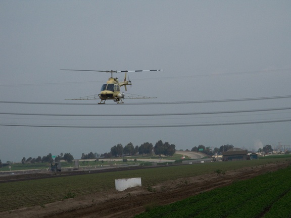 helicopter-sprayer-2010-02-04-IMG 3693