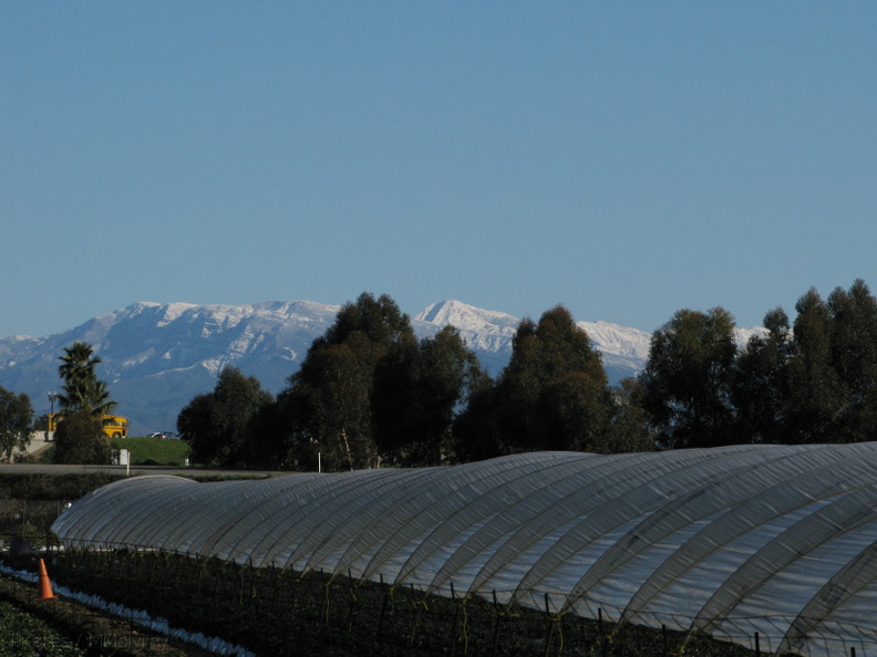 snow-Ventura-Santa-Ynez-Mts-and-farms-02-18-IMG_1775.jpg