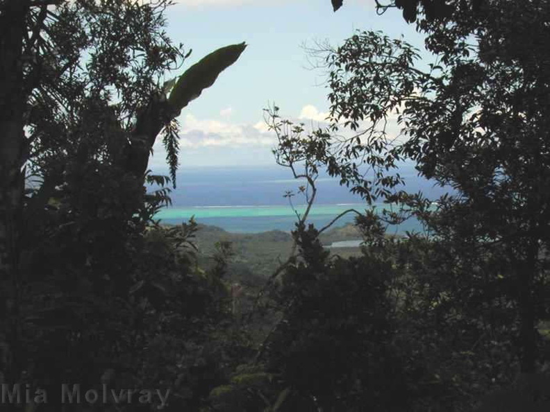 Tholo_Fiji_oceanview-2000-Nov-Dec.jpg