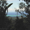 Tholo Fiji oceanview-2000-Nov-Dec
