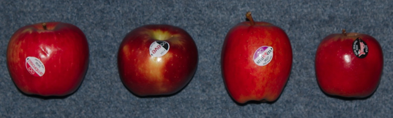apple-varieties-New-Zealand-2013-05-30-IMG_7798.jpg