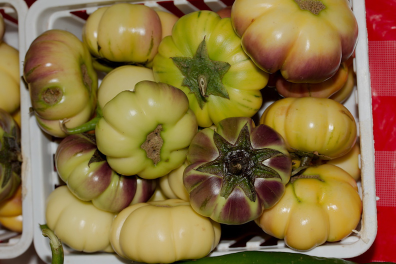 bitter-eggplant-Farmers-Market-Sheboygan-2016-08-13-IMG_3453.jpg