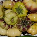 bitter-eggplant-Farmers-Market-Sheboygan-2016-08-13-IMG 3453