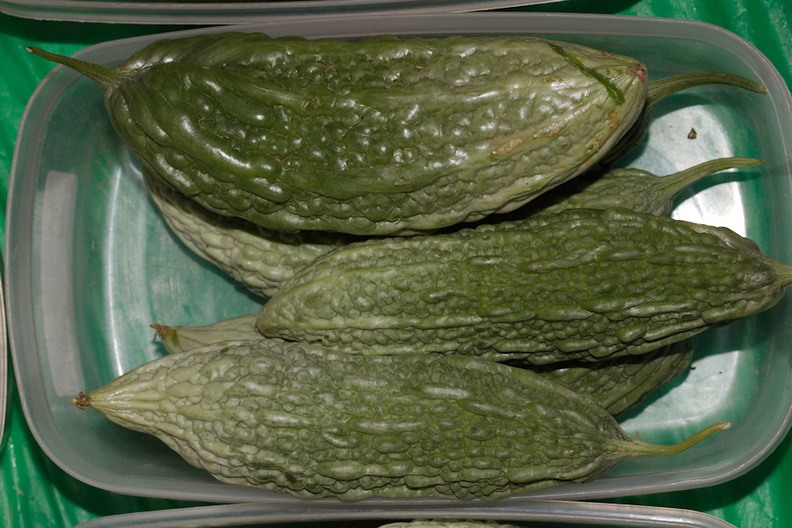 bitter-melon-Farmers-Market-Sheboygan-2016-08-13-IMG 3449