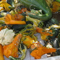 pumpkins-gourds-Underwood-Farms-2014-10-19-IMG 4166
