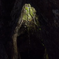 lava-caves-Rangitoto-2015-11-29-IMG_6428.jpg