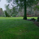 view-near-Meadow-Garden-with-sheep-Ayrlies-Garden-Auckland-2013-07-03-IMG 2244