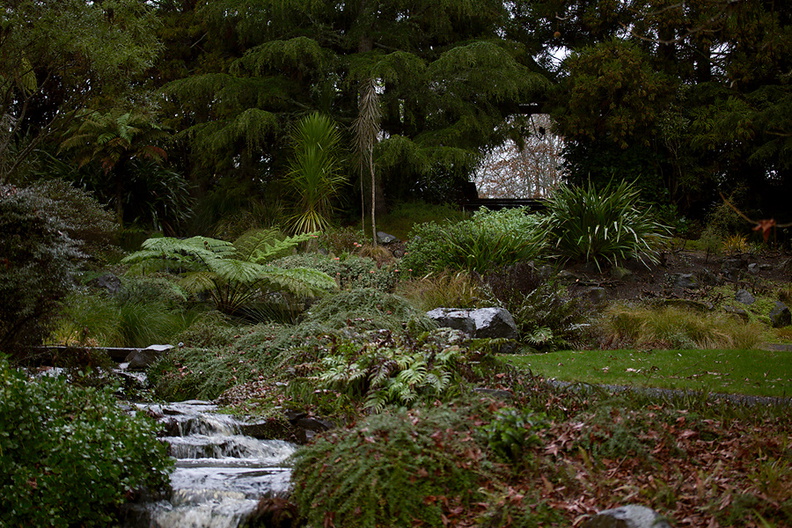 watercourse-to-Cypress-Pond-Ayrlies-Garden-Auckland-2013-07-03-IMG_8813.jpg