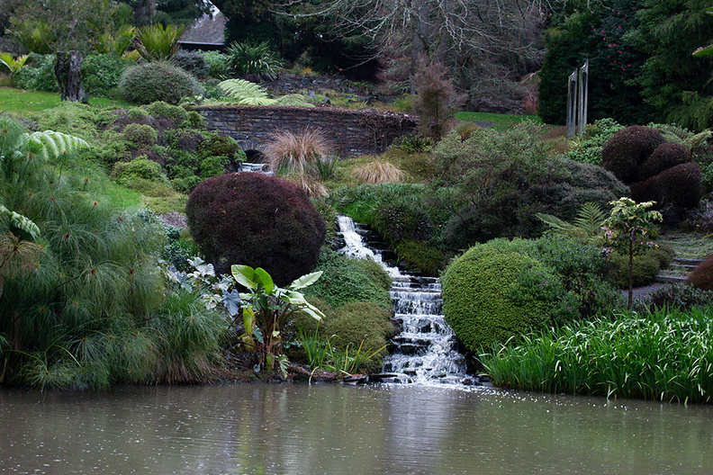 waterfalls-to-Ollies-Pond-Ayrlies-Garden-Auckland-2013-07-03-IMG_8809.jpg