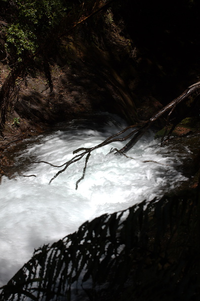 second-falls-and-rapids-river-goes-underground-Tarawera-to-Waterfall-Track-2015-10-16-IMG_1954.jpg