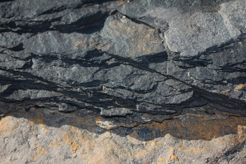 shale-and-coal-in-surface-rock-Denniston-plateau-2013-06-12-IMG_8130.jpg