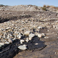 shale-and-coal-visible-in-surface-rock-Denniston-plateau-2013-06-12-IMG 1369