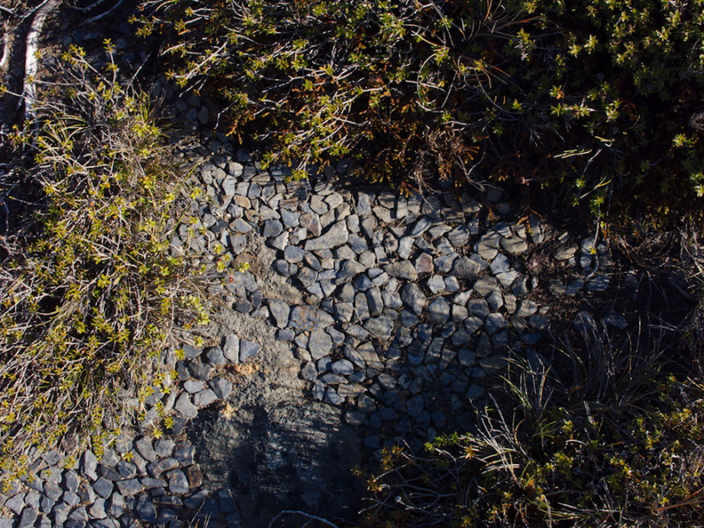 stones-self-assorting-into-tiled-pattern-Denniston-plateau-2013-06-12-IMG_1368.jpg