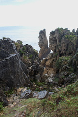 Pancake-Rocks-stratified-limestone-Punakaiki-2013-06-13-IMG 8154
