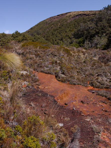 iron-bearing-stream-Silica-Rapids-Track-Tongariro-2015-11-02-IMG_6193.jpg